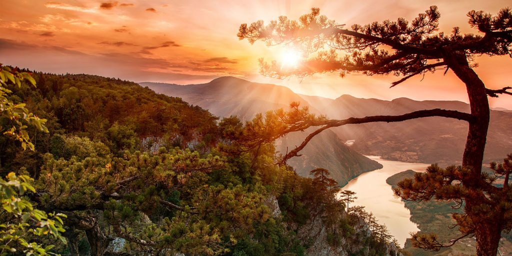Tara National Park
